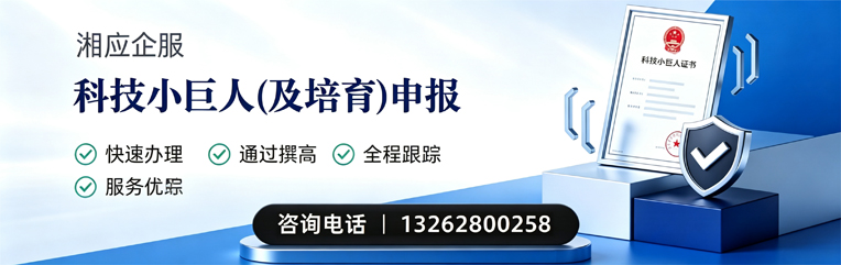 无锡科技小巨人及培育企业申报服务