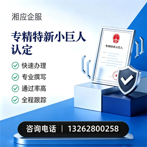 无锡专精特新小巨人申报服务