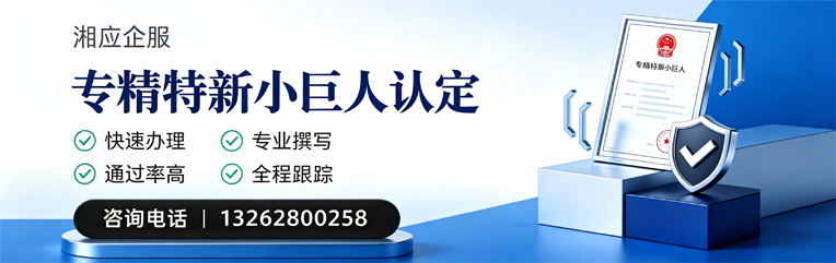 无锡专精特新小巨人申报服务